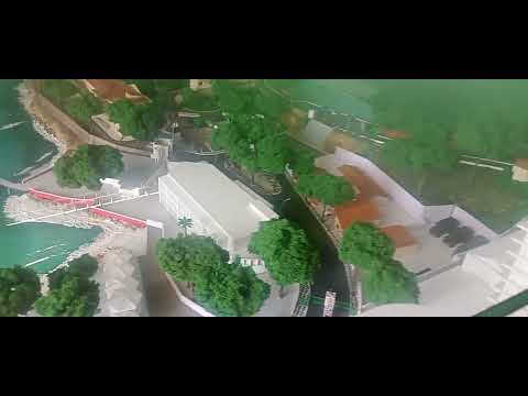 TIGRAO  NOVO PROGRESSO