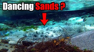 The Dancing Sands of Hamurana Springs