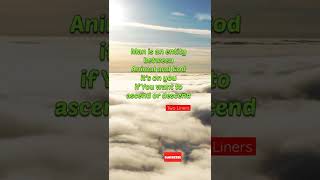 quotes about life, positive affirmations, quotes reels, quotes status reels #shorts #quotesstatus