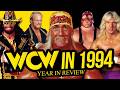 YEAR IN REVIEW WCW In 1994 Full Year Documentary