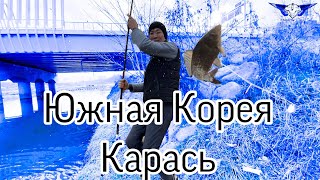 Рыбалка в корее на острове чеджу
