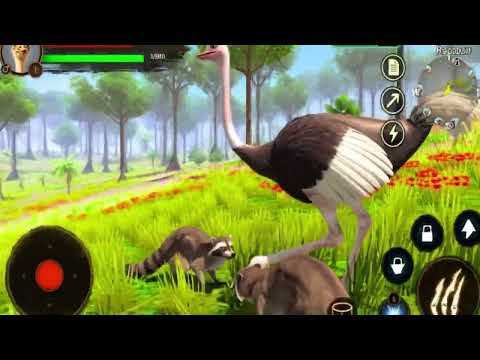 The Ostrich