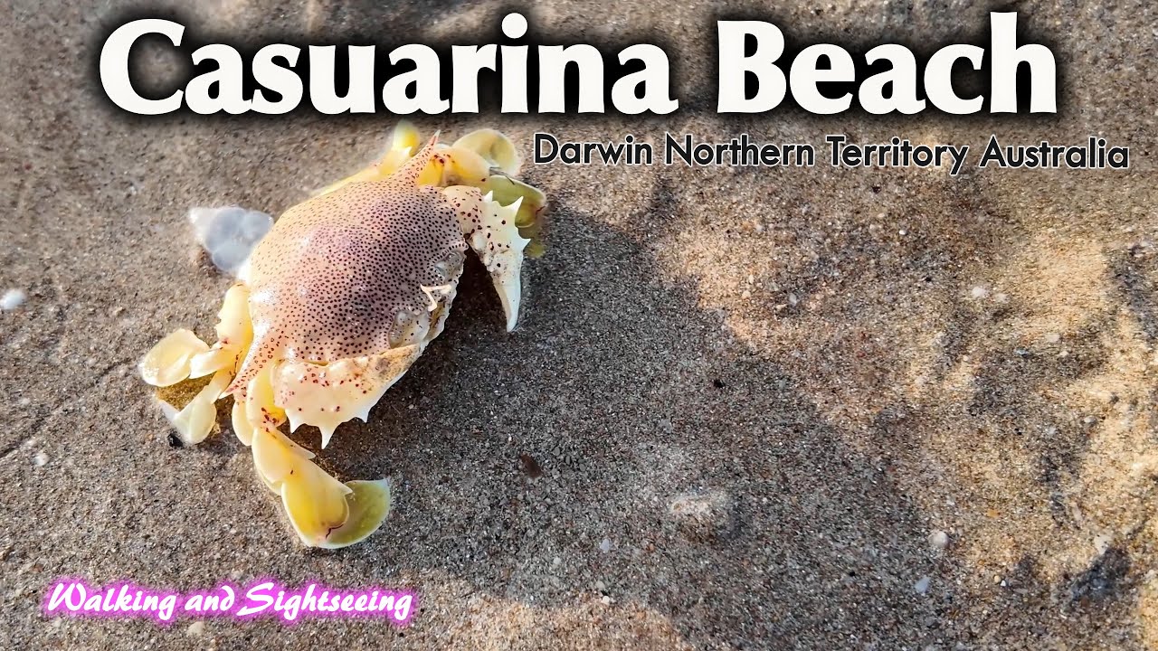 Explore the peaceful beaches and trails of Casuarina Coastal Reserve in Darwin.