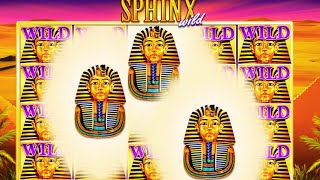 NEW BIG WIN on Sphinx Wild Slot! 🏺 IGT Crazy Win and Epic Free Spins! 🎰💥