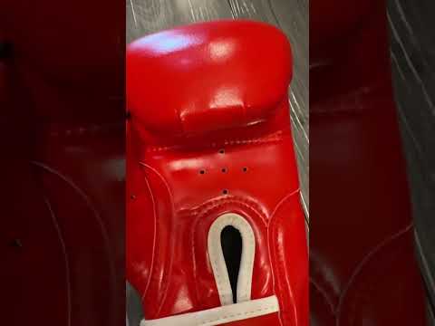 ~子甄彣璟~FRISKY 兒童拳套 高顏值 防爆耐磨 拳擊 手套 搏擊 散打 泰拳 格鬥 散打 健身運動