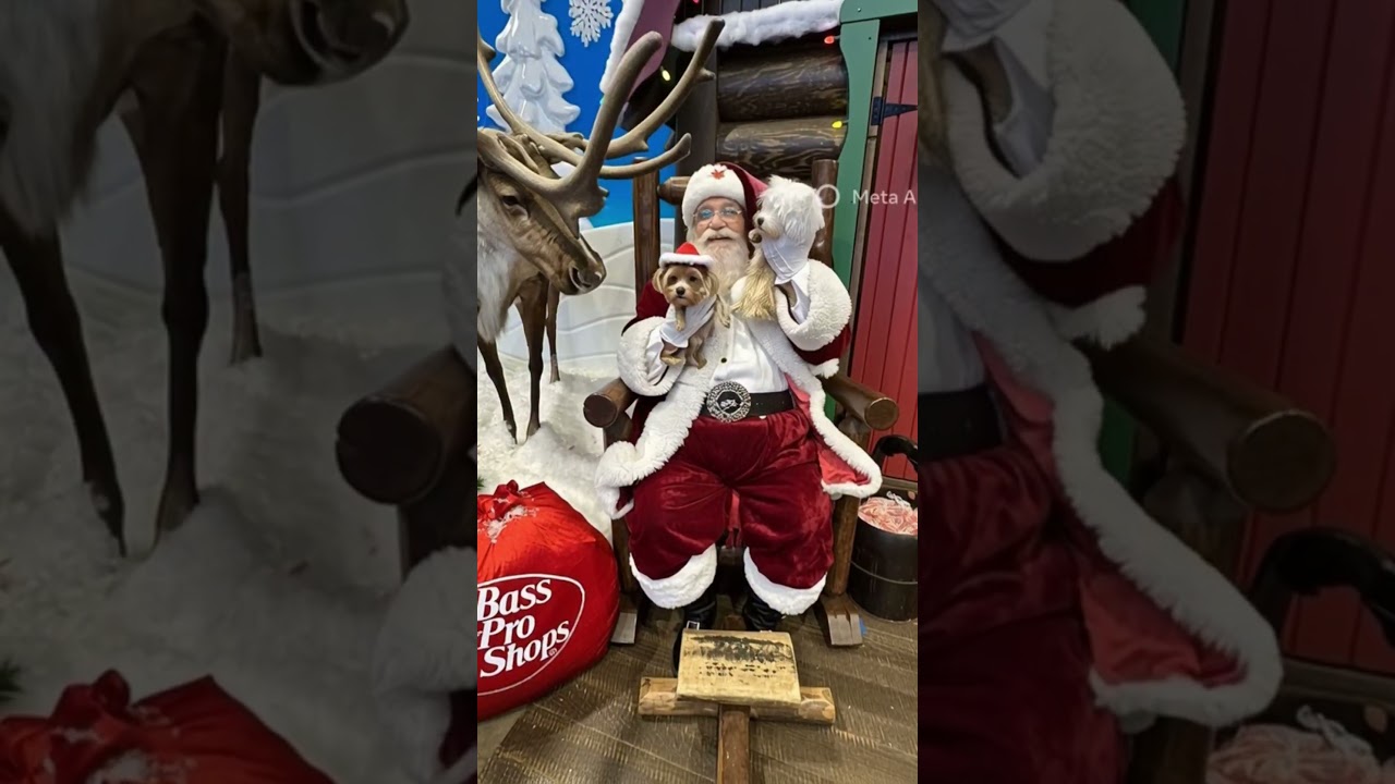 Promotional video thumbnail 1 for Santa For A Cause
