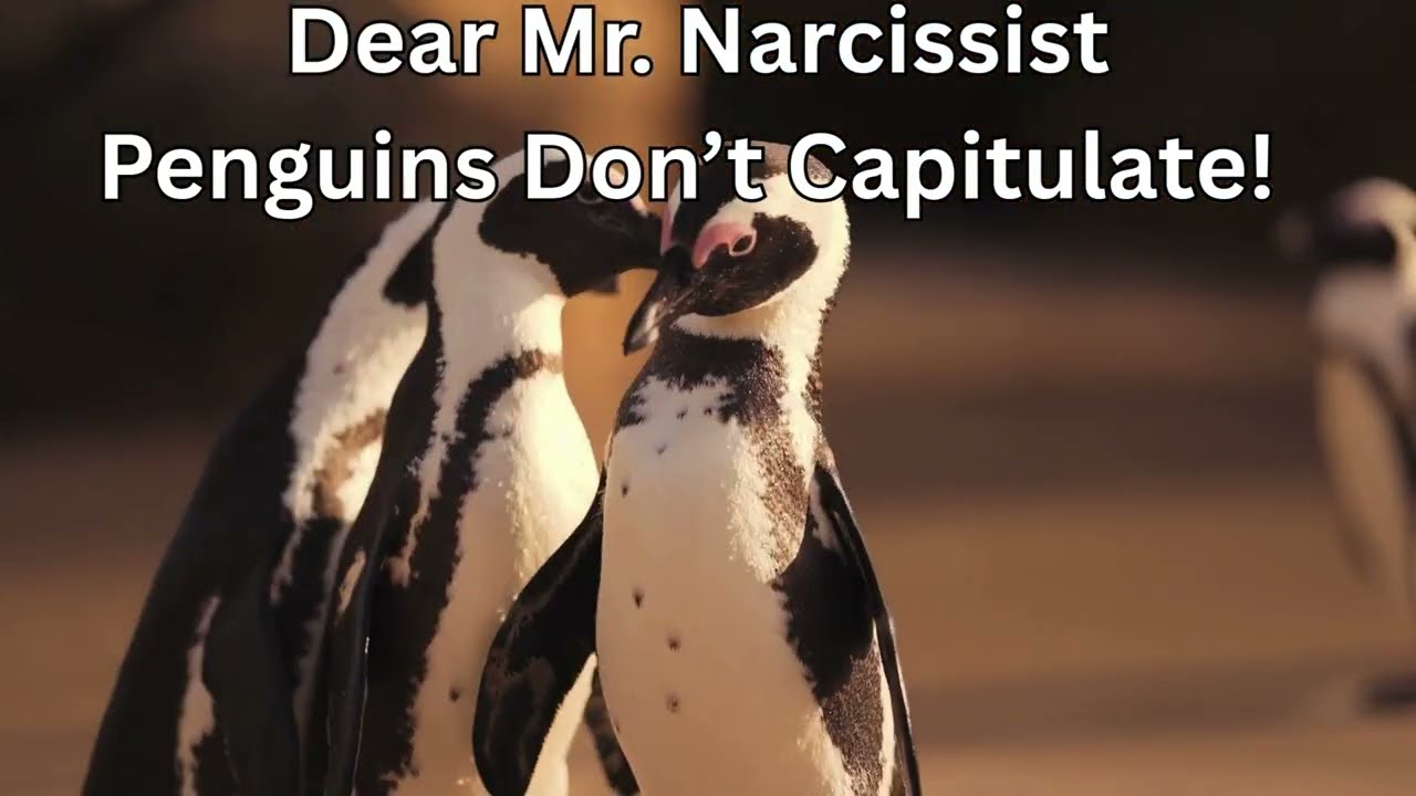 Dear Narcissist Your Heard and McDonald Islands Passport Application Is Denied