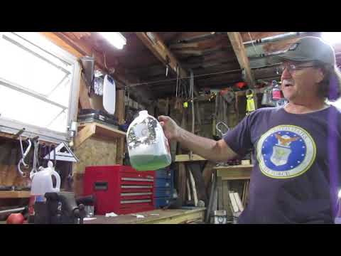 The yellow jacket trap made easy