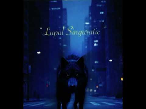 A-Lex - Lupul Singuratic