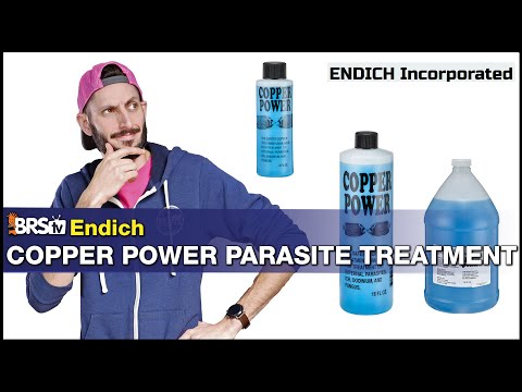 Do Your Fish Have Ich?  Looking to Treat Them With Copper? Copper Power Is a Go to for Many Reefers!