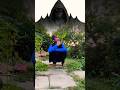 Masaan I Mahesh Kumar Mamta Arya I New DJ Kumaoni Song 2023 I Kumaunisong Youtubeshorts