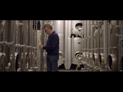 „ALPINA WEIN - Referenzen sichtbar gemacht"    ///    Folge 2: Weingut Ökonomierat Rebholz