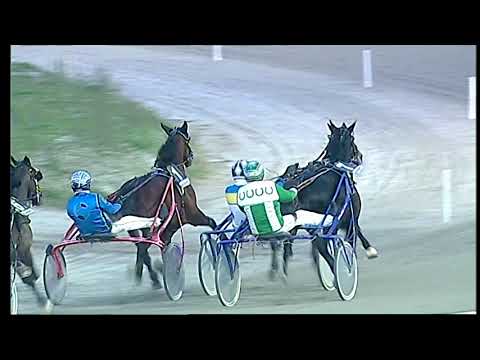 Trotto 20/12/2020 - 7ª corsa