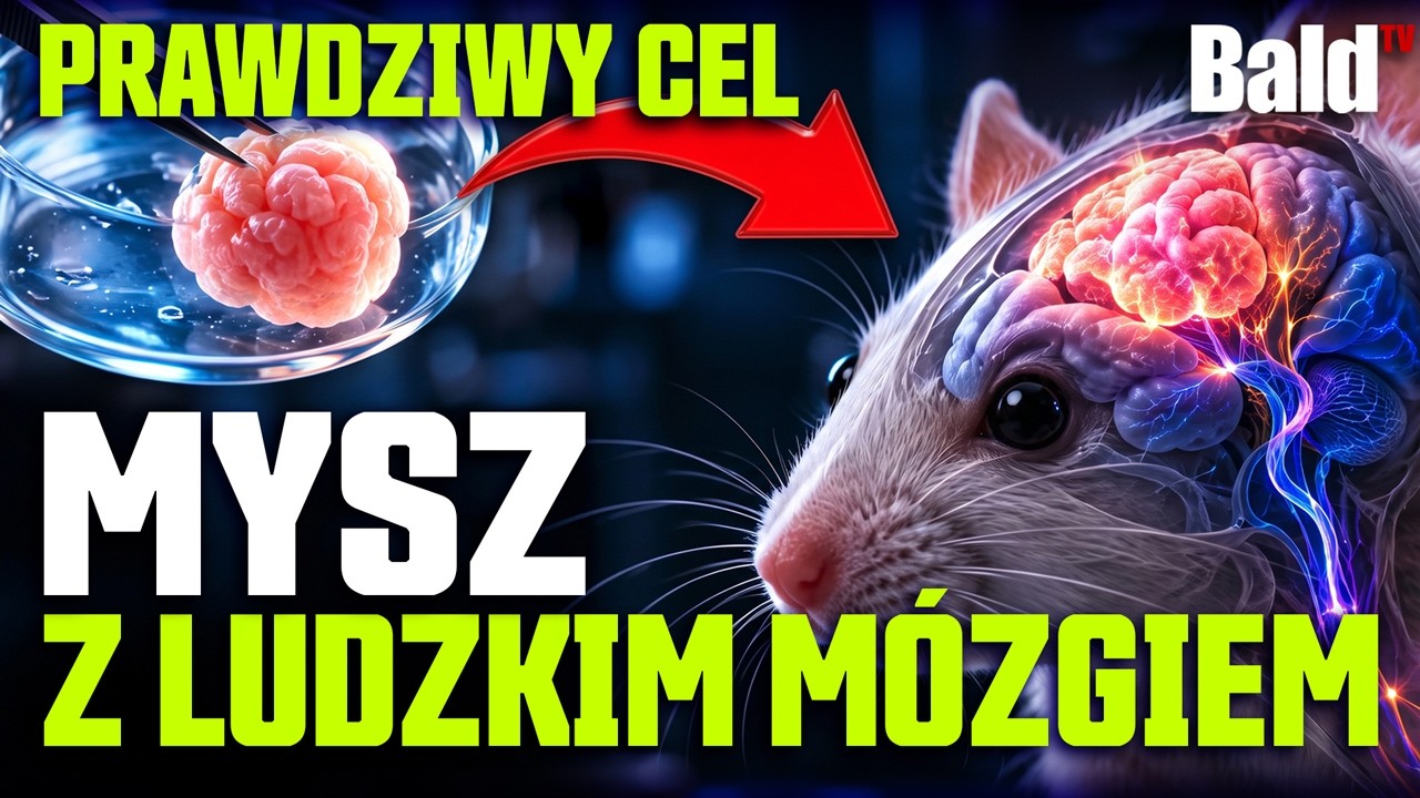 NOWY EKSPERYMENT KTÓRY PRZEKROCZYŁ GRANICE
