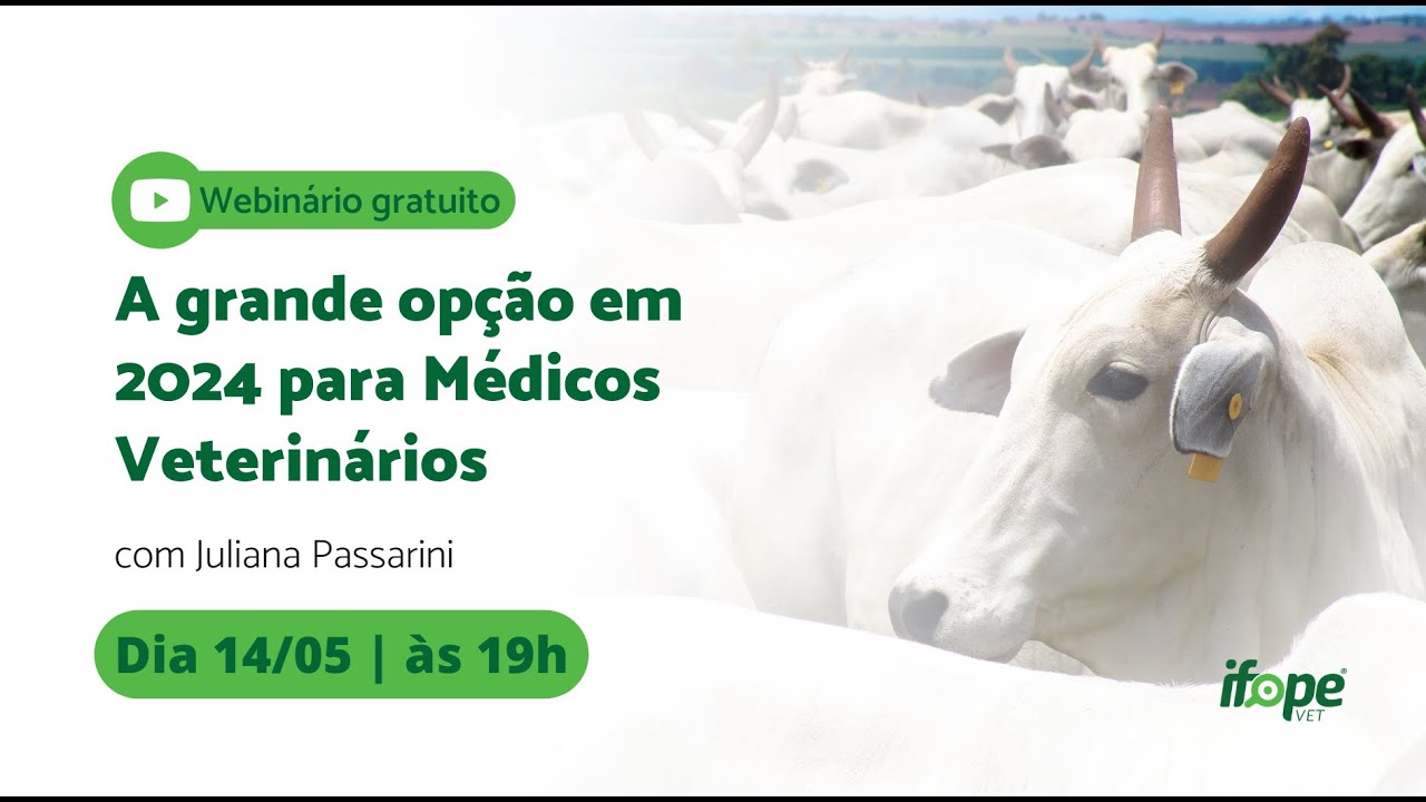 [AO VIVO] A grande opção em 2024 para Médicos Veterinários