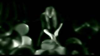 Darzamat - The Burning Times