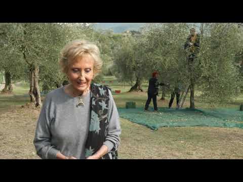download lagu mp3 mp4 Frescobaldi Laudemio Ev Olive Oil, download lagu Frescobaldi Laudemio Ev Olive Oil gratis, unduh video klip Frescobaldi Laudemio Ev Olive Oil