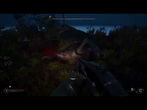 Stalker 2 : Il Controllore