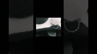 A Film By Trundle