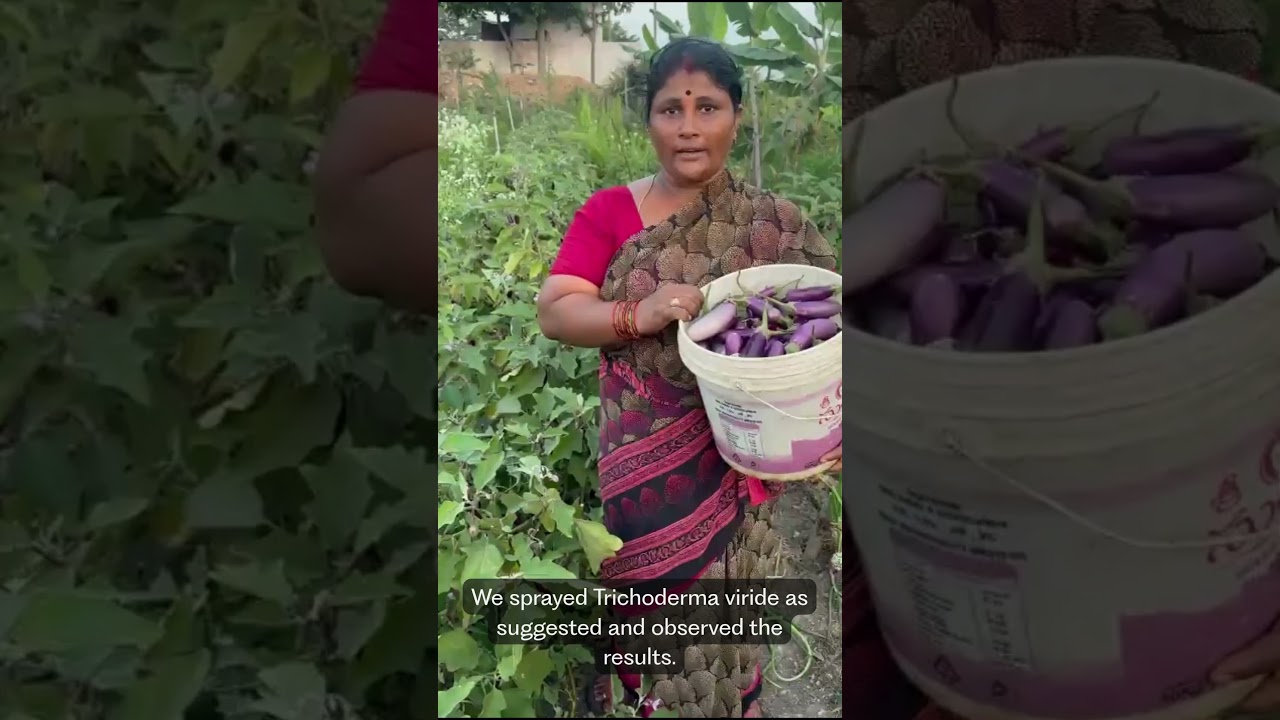 Jyothi AP - FarmerChat Testimonial