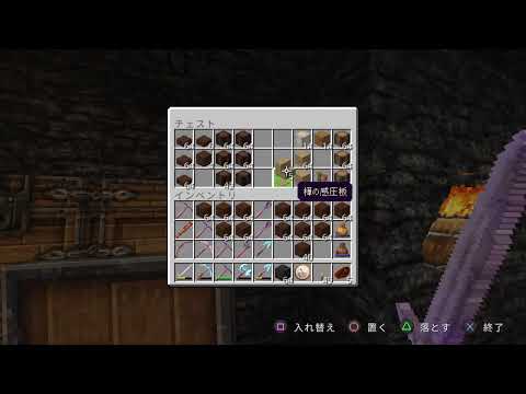 MuNyu-マイクラ_ノーマル_01 / PS4_01 / 25.05.31-01