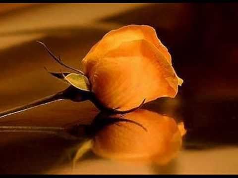 Regalo De Amor video