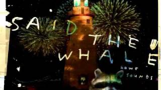 Said the Whale - My Government Heart