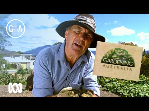 3 Hours of Vintage Gardening Australia to Bring You Joy! | Gardening Australia