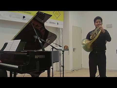 Zeng Yun (Cina) - Haydn concerto #1 in re magg h VIId #3