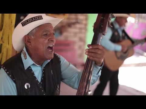 Grupo Tolerados - Twist And Shout✔️