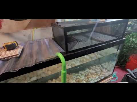 Thrive Elevated Basking Loft #thrive #petsmart