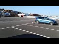 Seagull In A Car Park