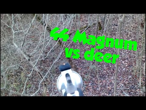 44 Magnum Trick Shot