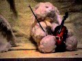 Violin Music Box