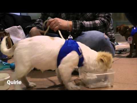 Ankunft in Hamburg am 29.12.2015