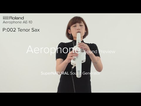 Roland AE-10 Aerophone Digital Wind Instrument 2018 - Present - White image 5