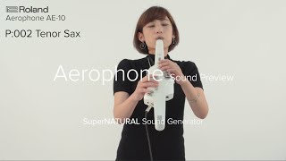 Video thumbnail for Roland Aerophone AE-10 Sound Preview by Roland Support Channel
