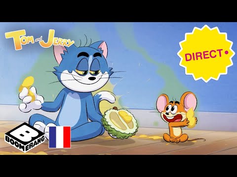 Capture d'écran du flux en direct de la chaîne de télévision gratuite en ligne Boomerang France