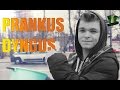 Prankus Dyngus ZielarzTV