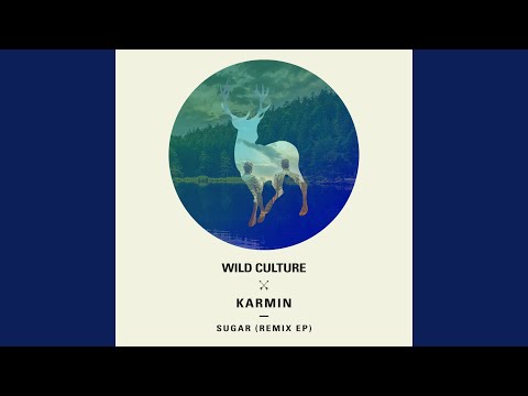 Sugar (Wild Culture vs. Karmin) (Lost Kings Remix)