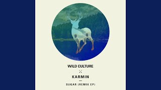 Sugar (Wild Culture vs. Karmin) (Lost Kings Remix)