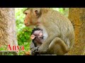 THANK MUMMY FOR FEEDING ME BABY ANYA GET MILK FULL AND SLEEP ON MOM APRIL