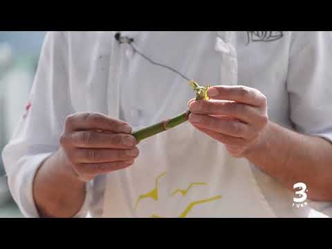 Grillet makrell med potetsalat