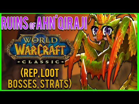 Ruins of Ahn'Qiraj (AQ20) Classic WoW Guide 🐞 DUNGEON DIVES