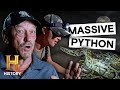 Which Hunter Will Catch The LARGEST Python Swamp People Serpent Invasion S5