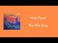 Pink Floyd - The Nile Song (Lyrics)