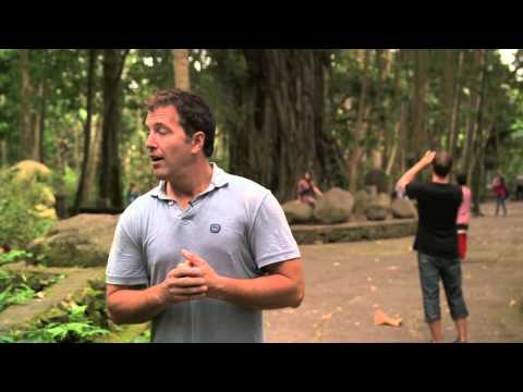 Reporter Attacked by Frisky Monkey