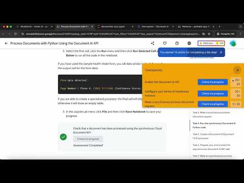 Create Text Embeddings for a Vector Store using LangChain GSP1233