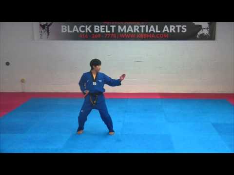 1st Dan Black Belt Poomsae -Koryo- Taekwondo