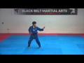 1st Dan Black Belt Poomsae -Koryo- Taekwondo